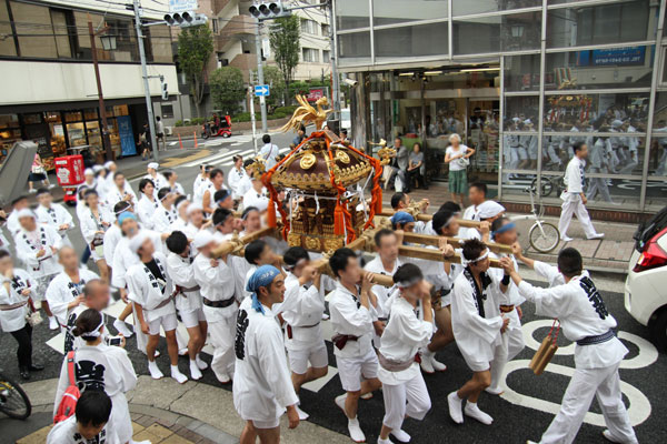 2016年祭礼 御神輿練りの画像